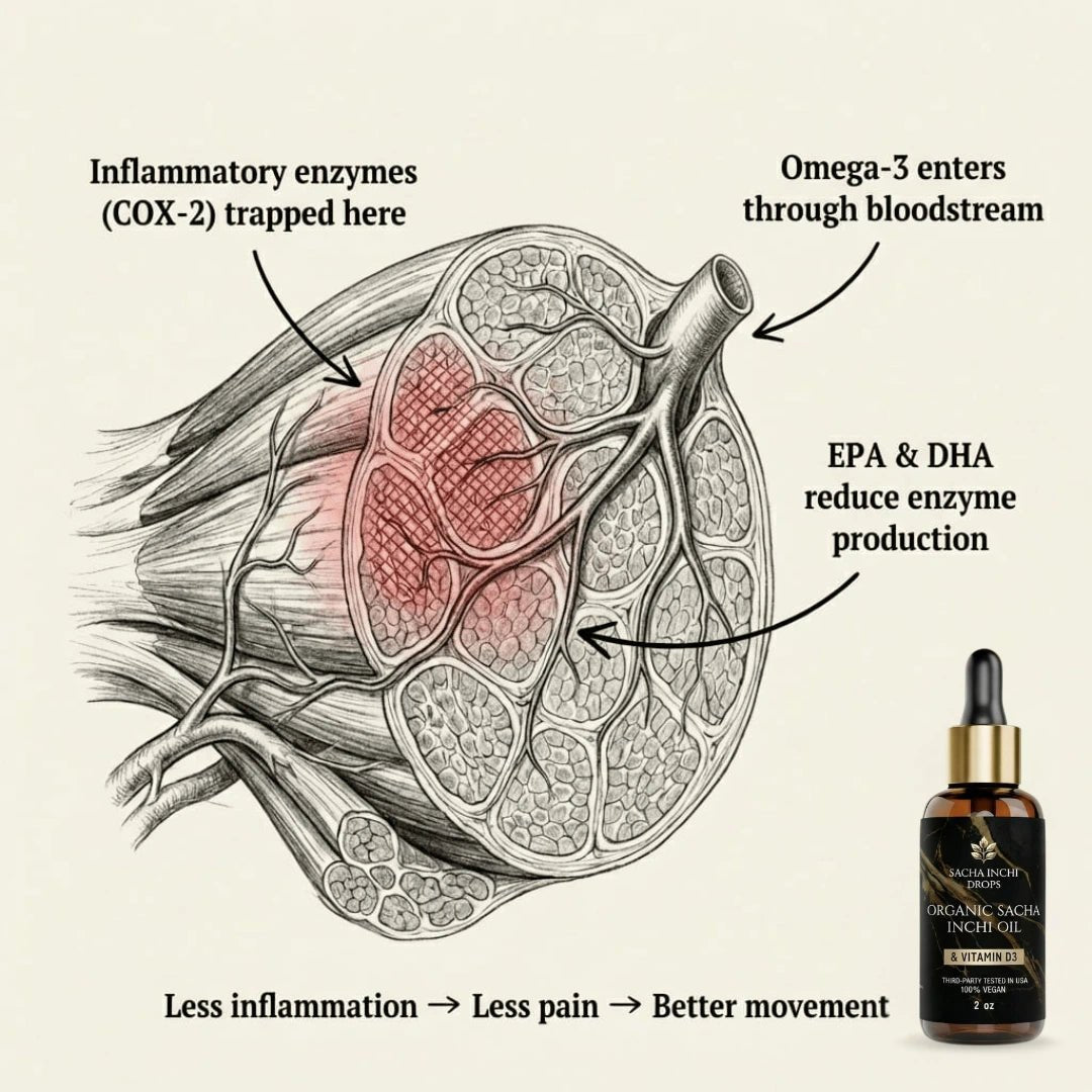 Athera Drops | Organic Sacha Inchi Oil — Nature's Answer to Muscle Pain - Athera OrganicsAthera Drops | Organic Sacha Inchi Oil — Nature's Answer to Muscle Pain